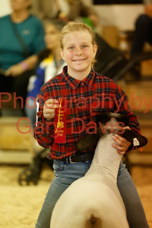 _MG_0151 (2)